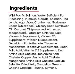 Wild-Caught Salmon Rustic Cat Blend *FINAL SALE*