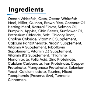 Catch-of-the-Season Whitefish & Ancient Grains Dry Dog Food