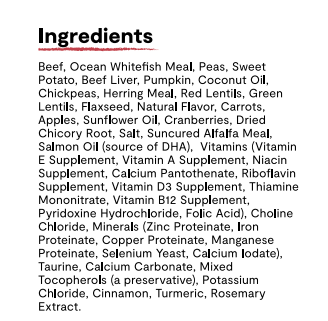 Grass-Fed Beef Grain-Free Dry Dog Food