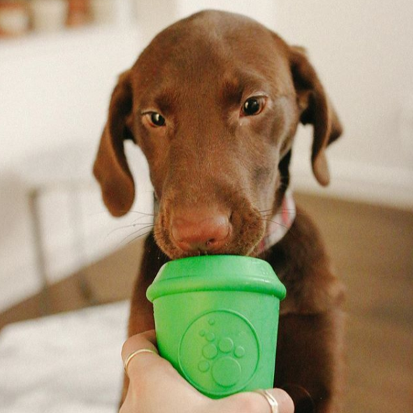 SODAPUP Coffee Cup Toy