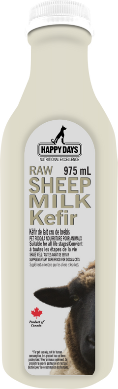 Happy Days Raw Sheep Milk Kefir Little Chief Co