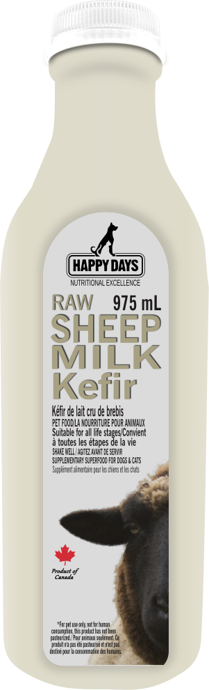 Raw Sheep Milk Kefir