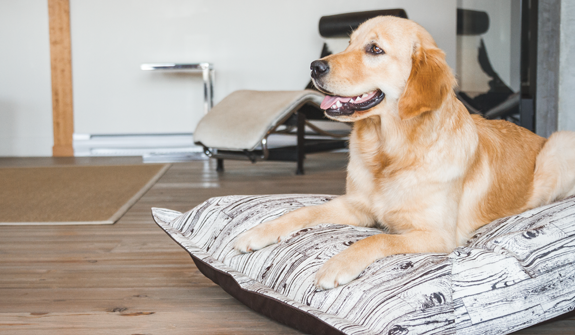 Buffalo Plaid Cloud Pillow