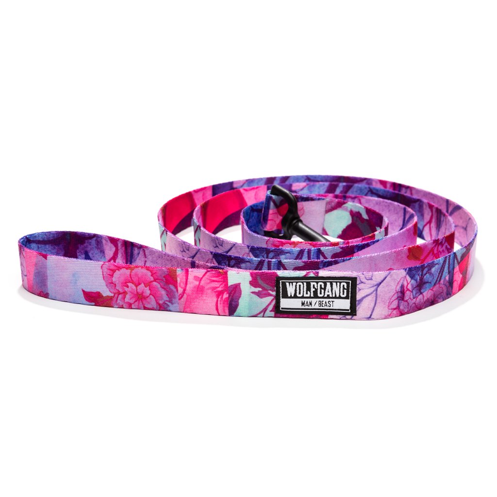 Wolfgang Daydream Leash