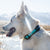 GreatEscape Collar