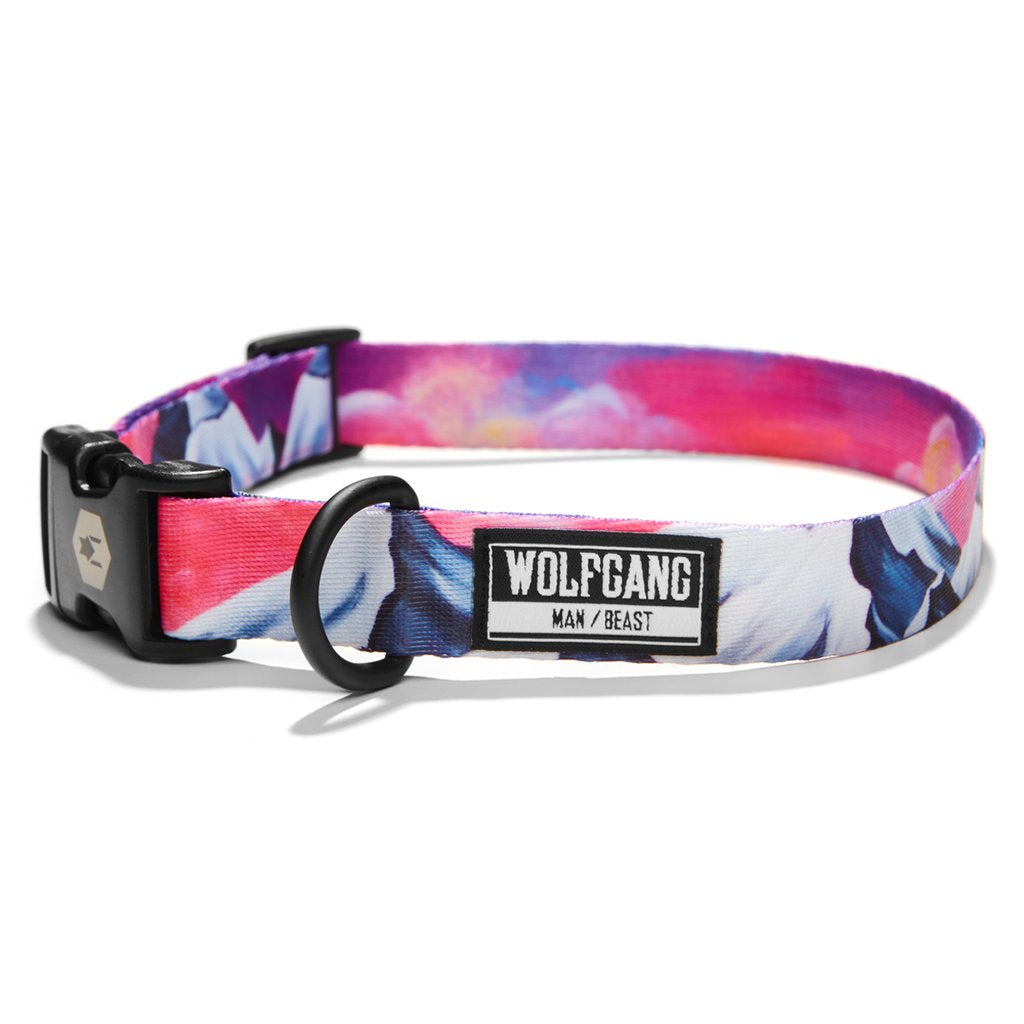 Man beast dog collars clearance