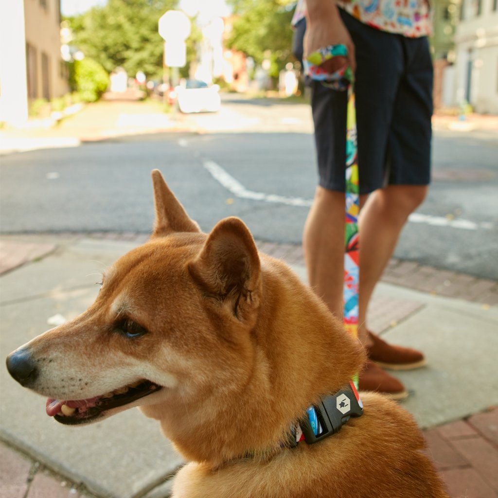 Wolfgang StreetArt Collar *FINAL SALE*