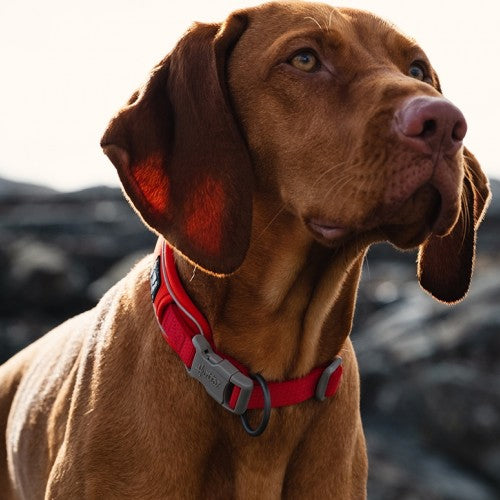 Weekend Warrior ECO Collar in Rosehip *FINAL SALE*