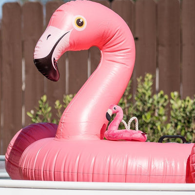 Flamingo Float