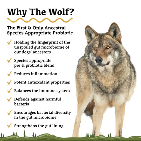 The Wolf | Species Appropriate Probiotics