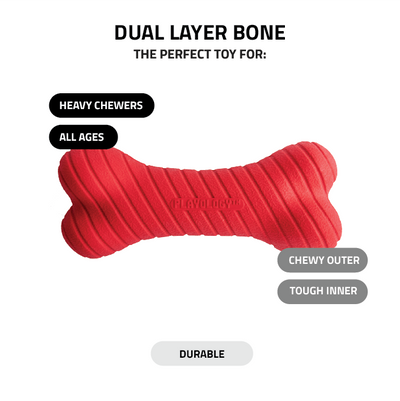 Dual Layer Bone - Beef Scented