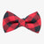 Lake Tahoe Bow Tie