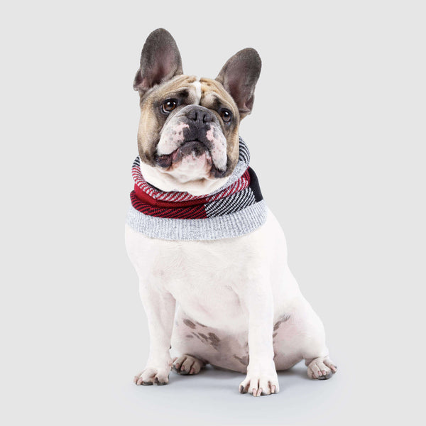 Canada Pooch Northern Knit Snood Plaid Little Chief Co