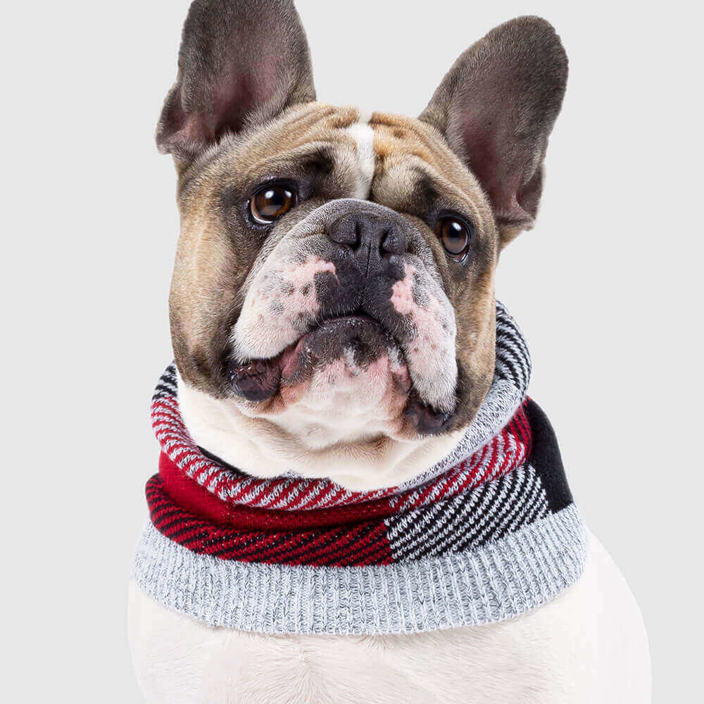 Northern Knit Snood Plaid