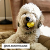 Squeaky Ball - Chicken Scented