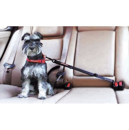 Adjustable Car Restraint