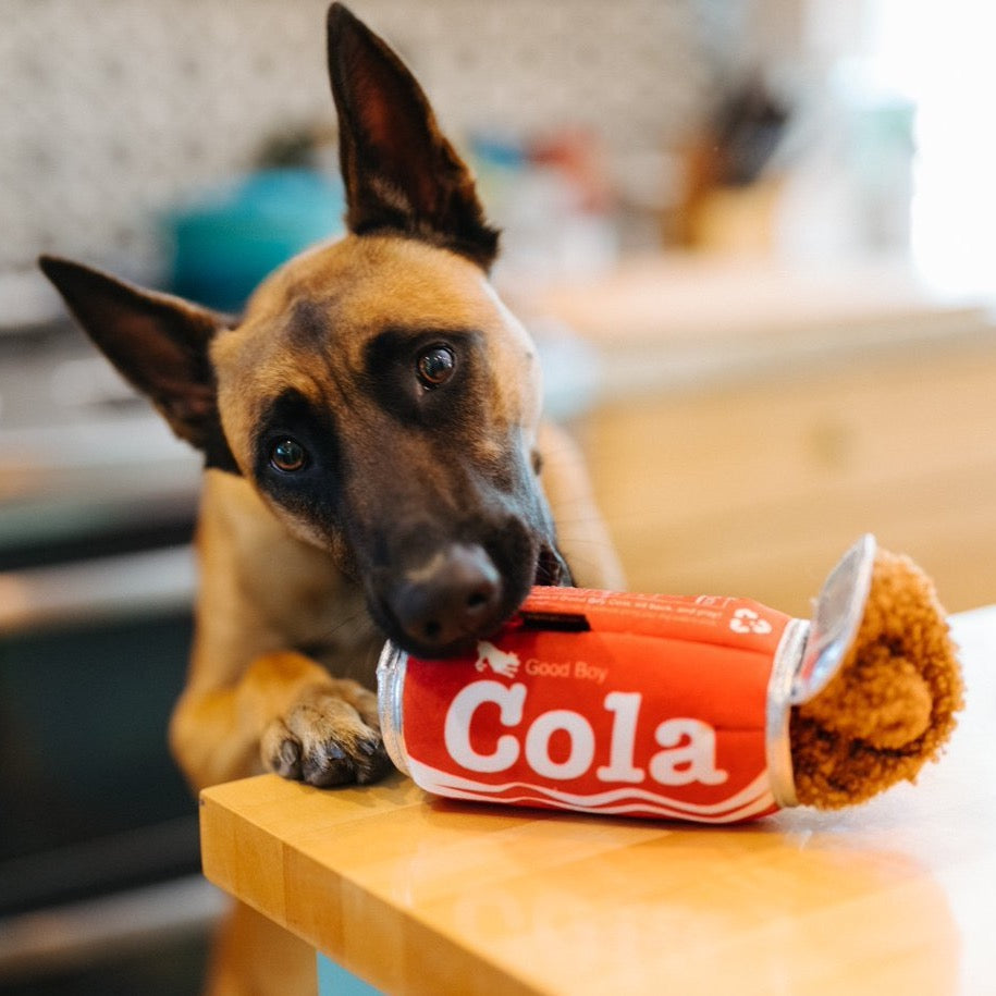 Good Boy Cola