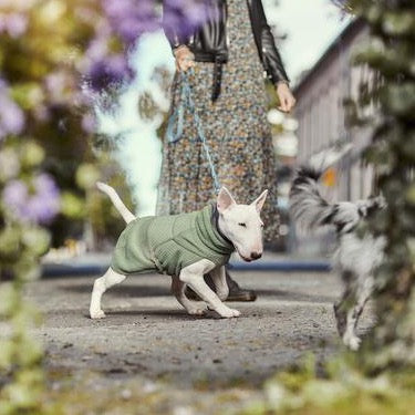 Razzle Dazzle Midlayer - Blackberry