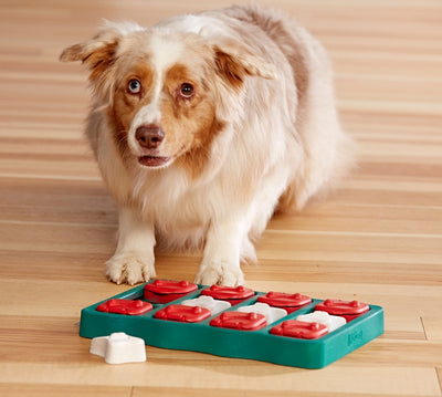 Brick Dog Puzzle Game
