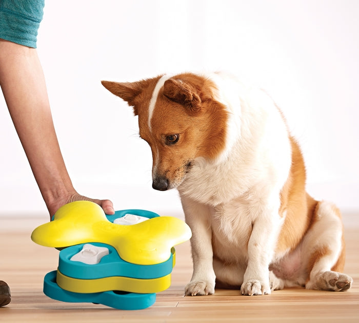 What is the Tornado Game With Dogs? Unleash Fun & Bonding!