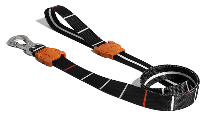 Patagonia Leash