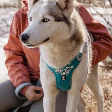 Weekend Warrior Harness - Desert