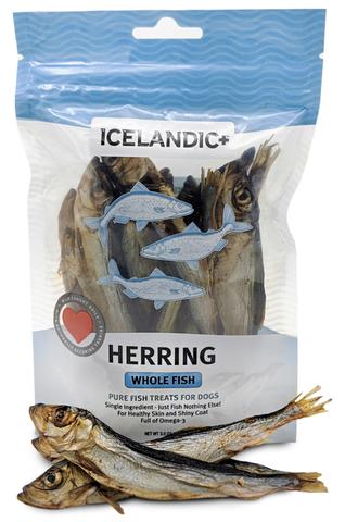 Herring Whole Fish