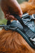 Weekend Warrior Harness - Currant *FINAL SALE*