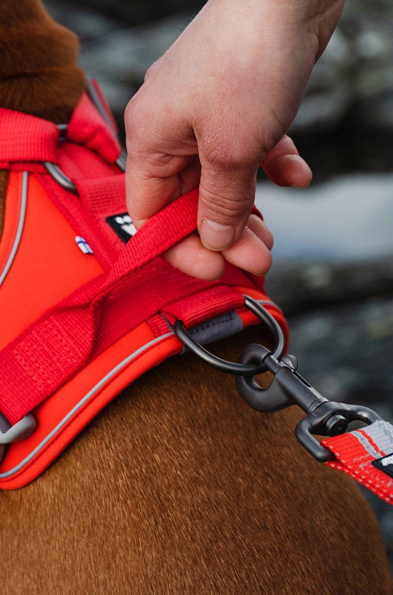 Weekend Warrior ECO Harness - Hedge