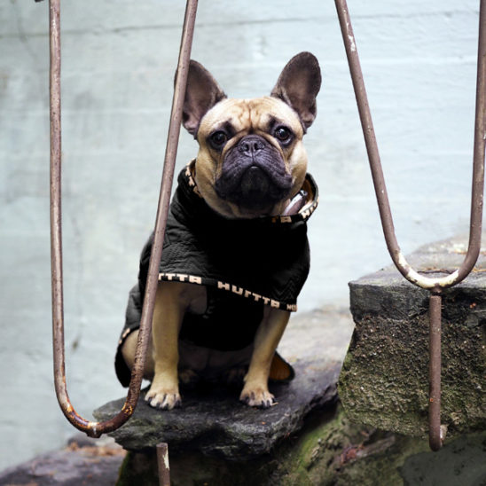 Casual Quilted Jacket in Raven *FINAL SALE