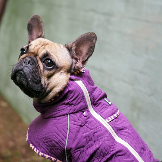 Casual Quilted Jacket in Heather *FINAL SALE