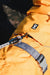 Expedition Parka - Blackberry