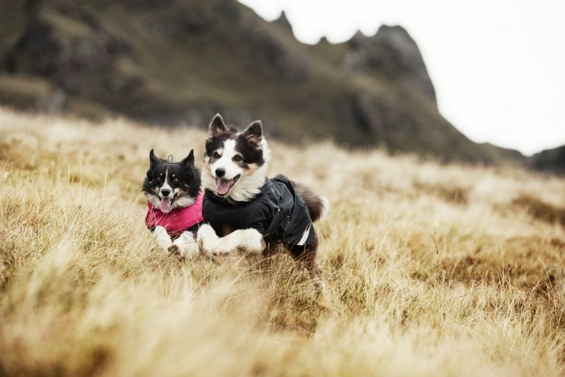 Hurtta summit parka dog winter coat online