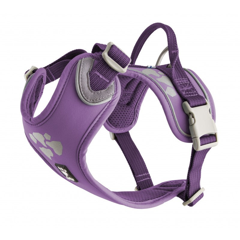 Hurtta active dog harness on sale