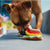 Tail Waggin' Taco