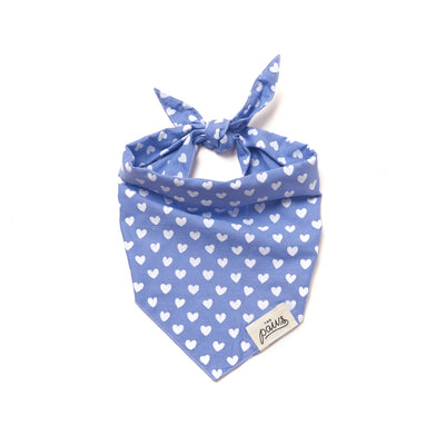Mr Jones Bandana