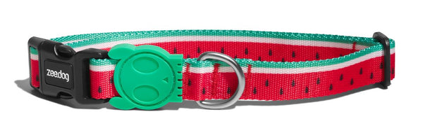 Lola dog collars top