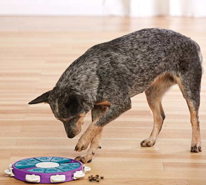 Nina Ottosson by Outward Hound Puppy Lickin' Layers Dog Puzzle Game, 