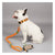 Leader-of-the-Pack Leash - Orange/Green