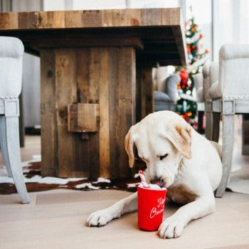 PLAY Holiday Hot Chocolate