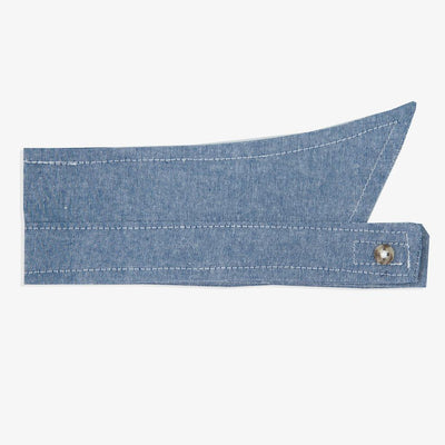 Rover Pointed Shirt Collars