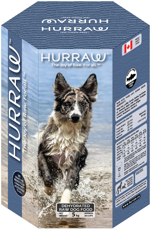 Easy raw top dehydrated dog food