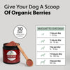 Red Rover - Organic Berries for Dogs