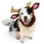 Reindeer Zoo Snood