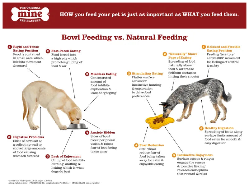 Mine Pet Platter - Small