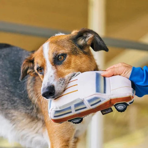 Scruffy's Station Wagon