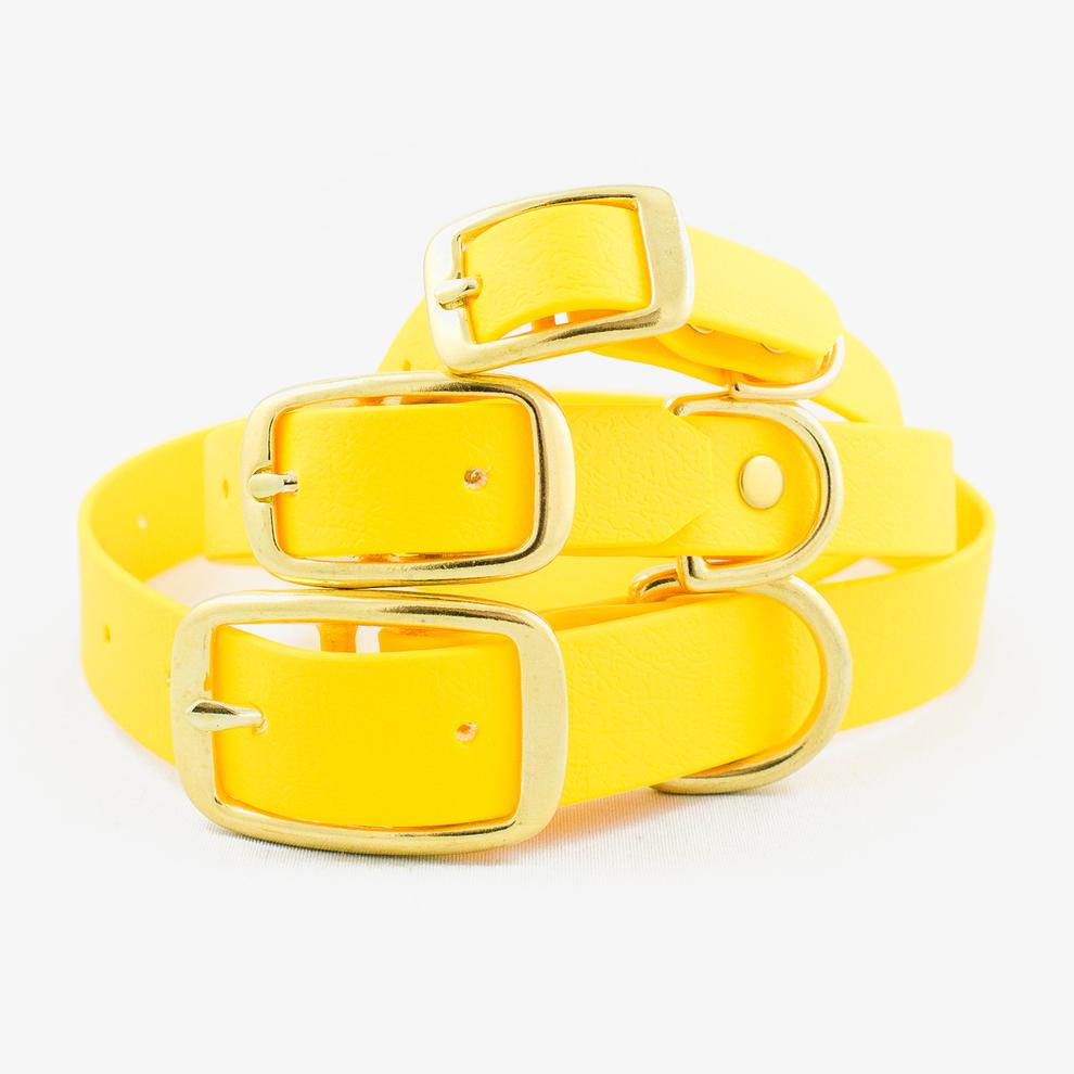 Vegan Leather Collar - Honey Yellow