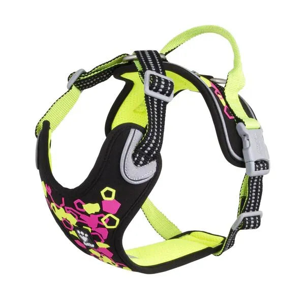 Weekend Warrior Harness - Licorice *FINAL SALE*