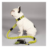 Leader-of-the-Pack Leash - Yellow/Black