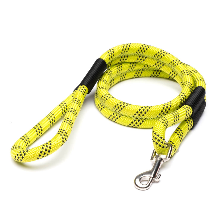 Leader-of-the-Pack Leash - Yellow/Black